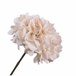 Hortensia steel CR/ROZ 50cm